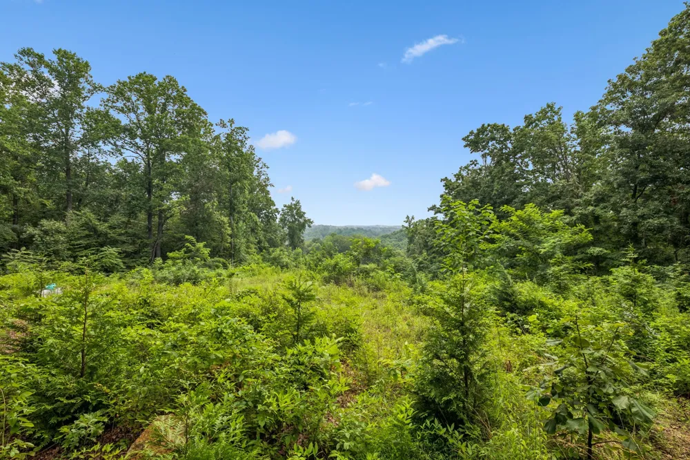 1065 Sioux Trail Pegram, TN 37143