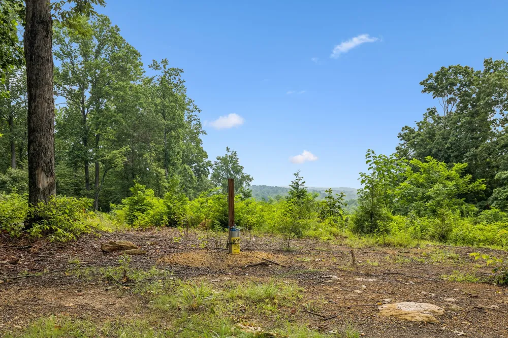 1065 Sioux Trail Pegram, TN 37143