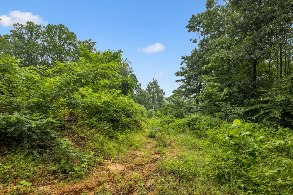 1065 Sioux Trail Pegram, TN 37143