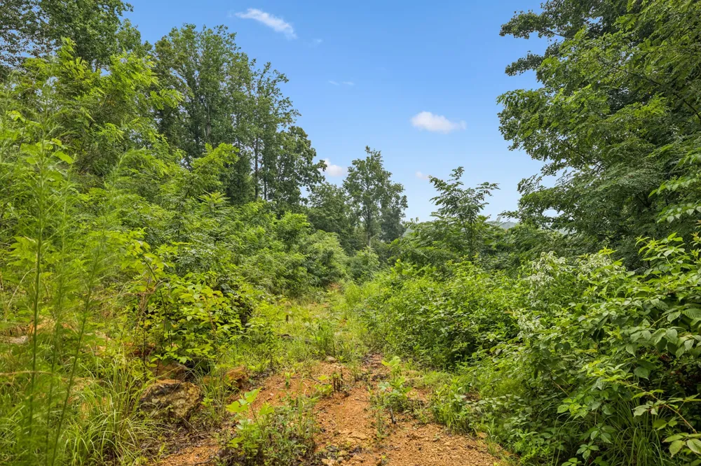 1065 Sioux Trail Pegram, TN 37143
