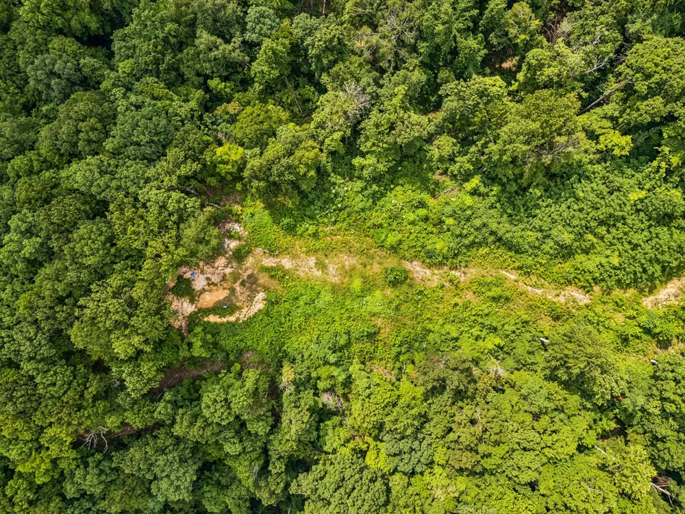 1065 Sioux Trail Pegram, TN 37143