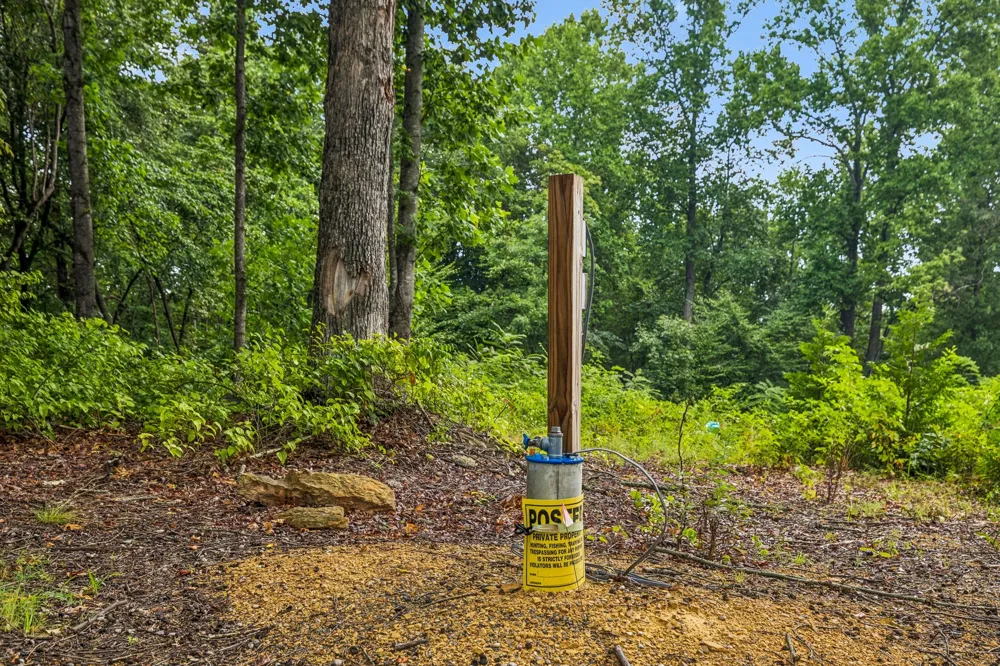 1065 Sioux Trail Pegram, TN 37143