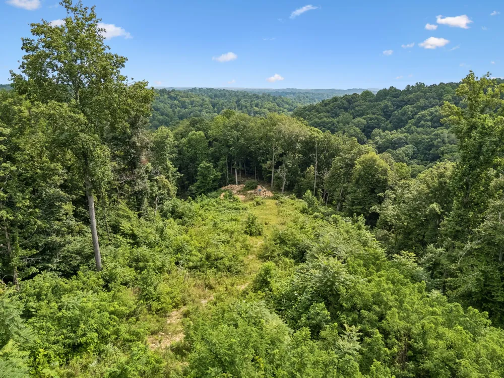 1065 Sioux Trail Pegram, TN 37143