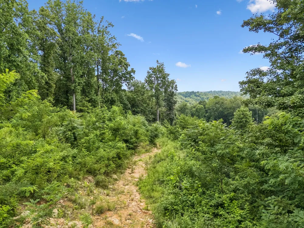 1065 Sioux Trail Pegram, TN 37143