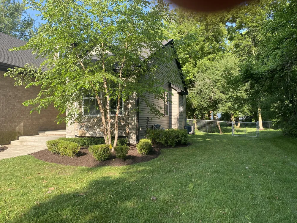 9915 Wayne Road Livonia, MI 48150