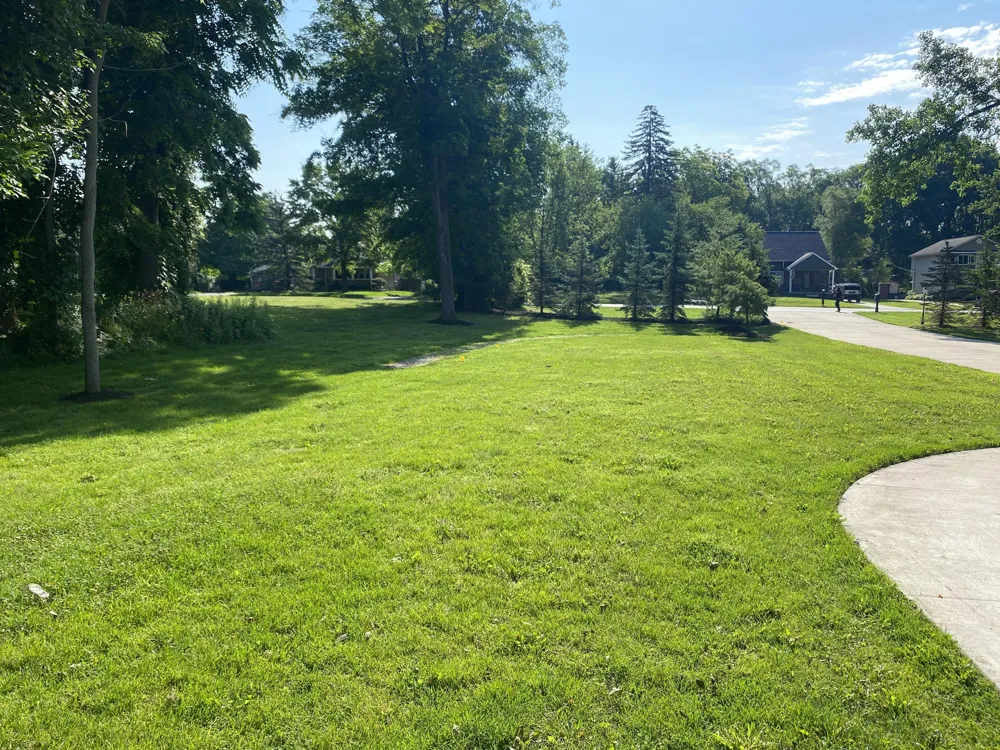 9915 Wayne Road Livonia, MI 48150