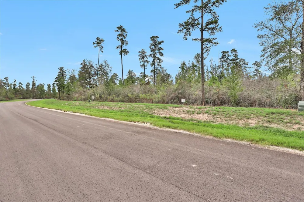 168 Great Plains Way New Waverly, TX 77358