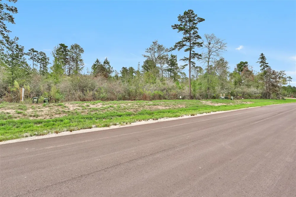 168 Great Plains Way New Waverly, TX 77358