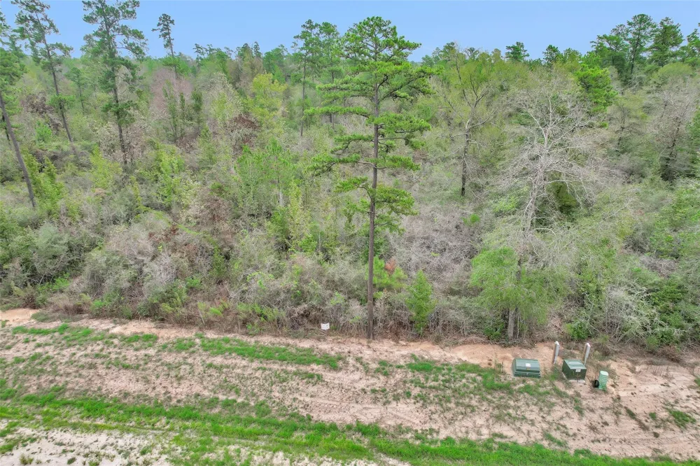 168 Great Plains Way New Waverly, TX 77358