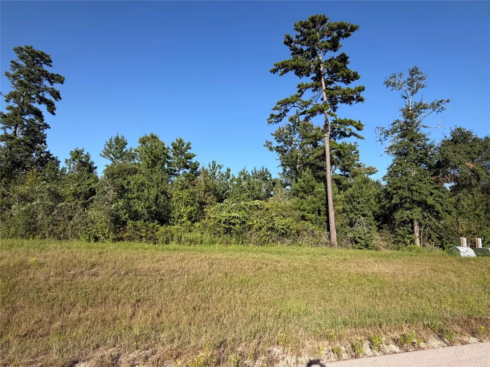 168 Great Plains Way New Waverly, TX 77358