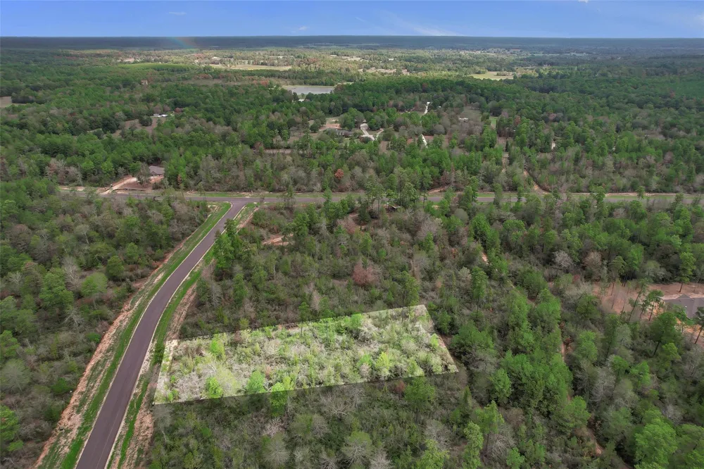 168 Great Plains Way New Waverly, TX 77358