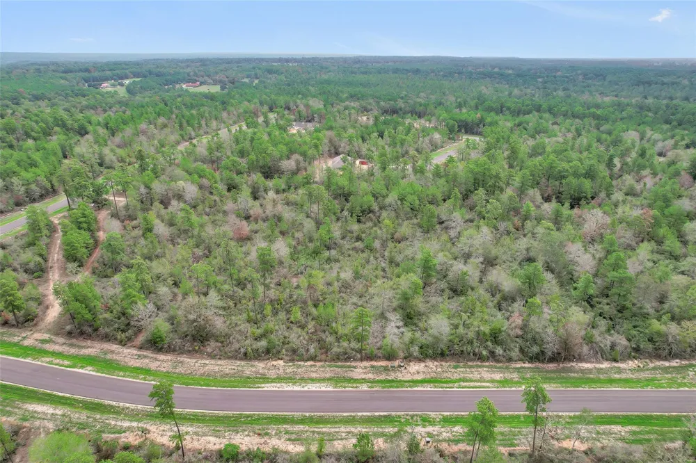 168 Great Plains Way New Waverly, TX 77358