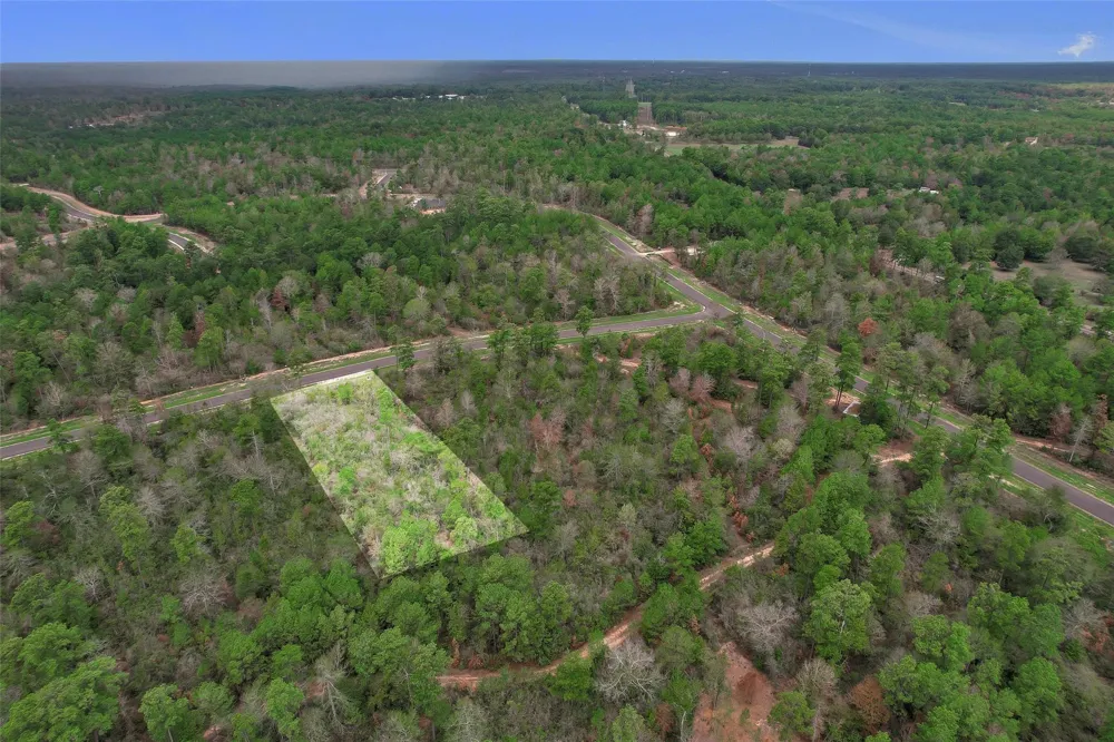 168 Great Plains Way New Waverly, TX 77358