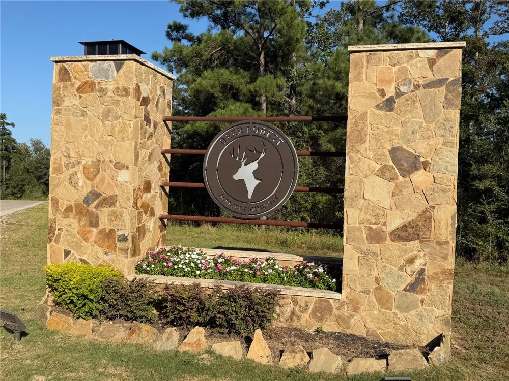 168 Great Plains Way New Waverly, TX 77358