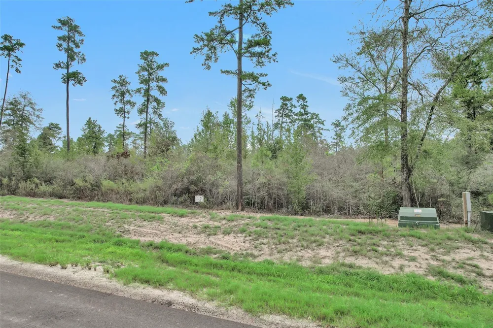 168 Great Plains Way New Waverly, TX 77358