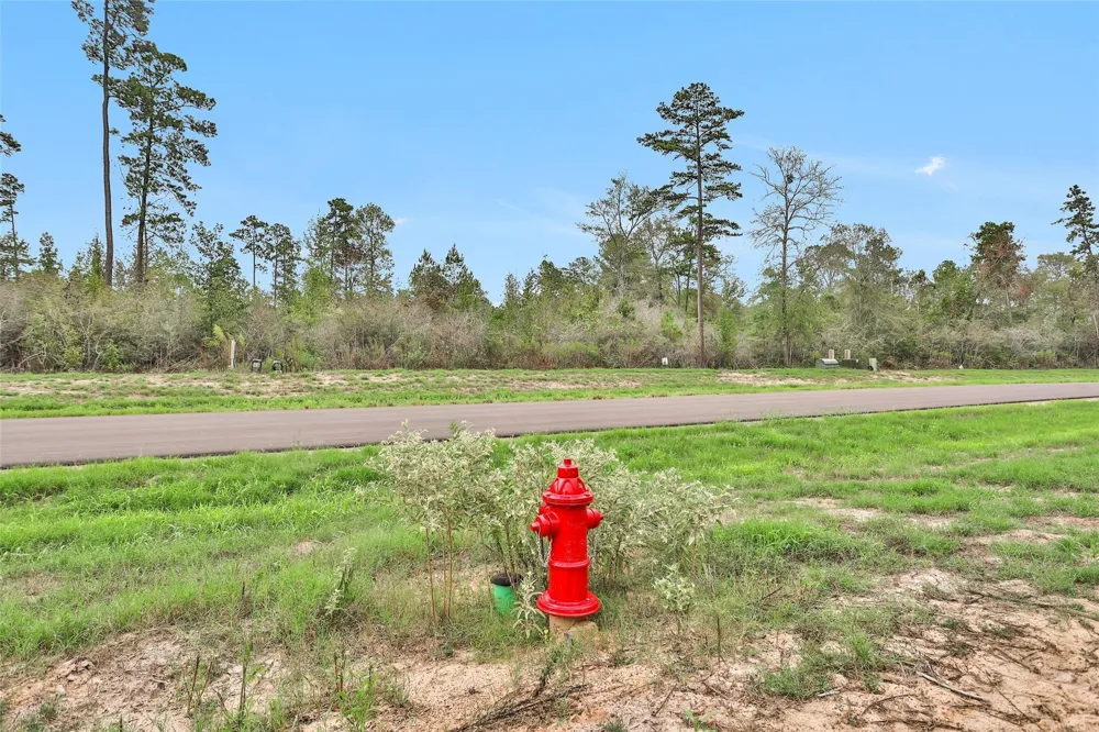 168 Great Plains Way New Waverly, TX 77358