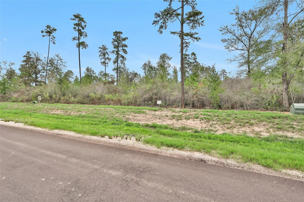 168 Great Plains Way New Waverly, TX 77358