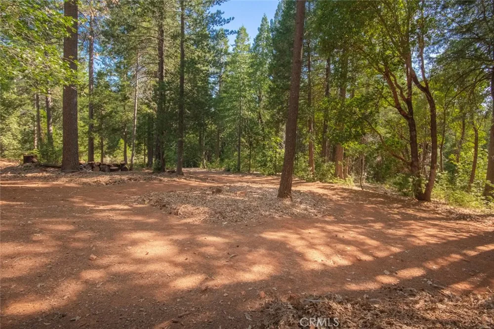 10647 Forbestown Road Challenge, CA 95925