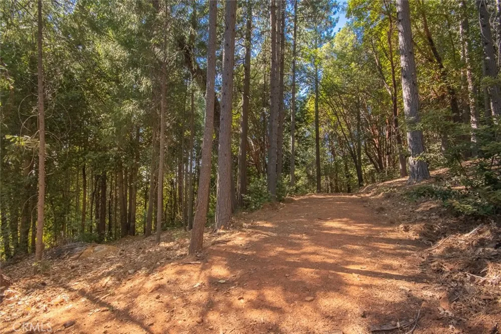 10647 Forbestown Road Challenge, CA 95925