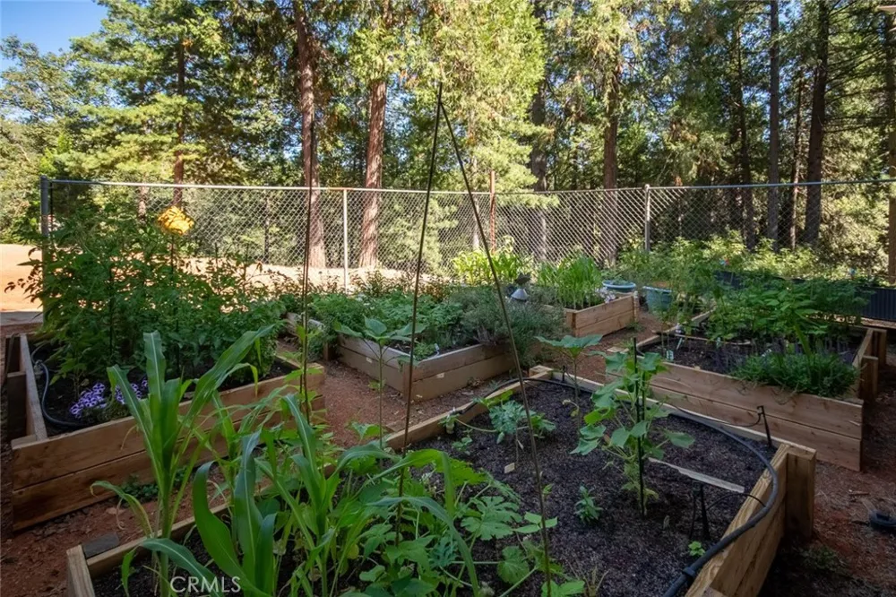 10647 Forbestown Road Challenge, CA 95925