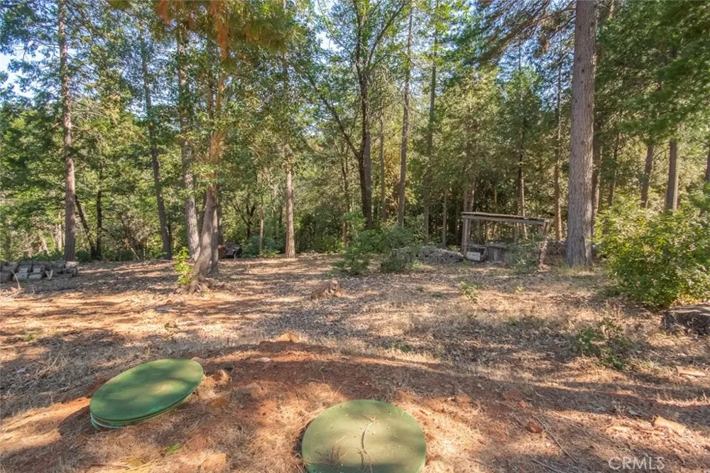 10647 Forbestown Road Challenge, CA 95925