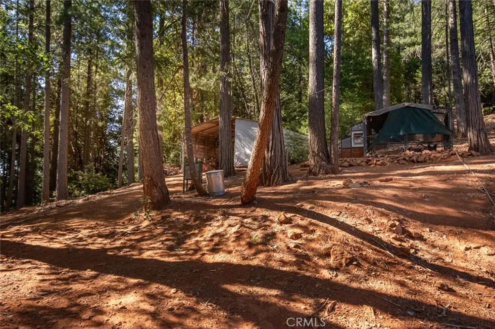 10647 Forbestown Road Challenge, CA 95925