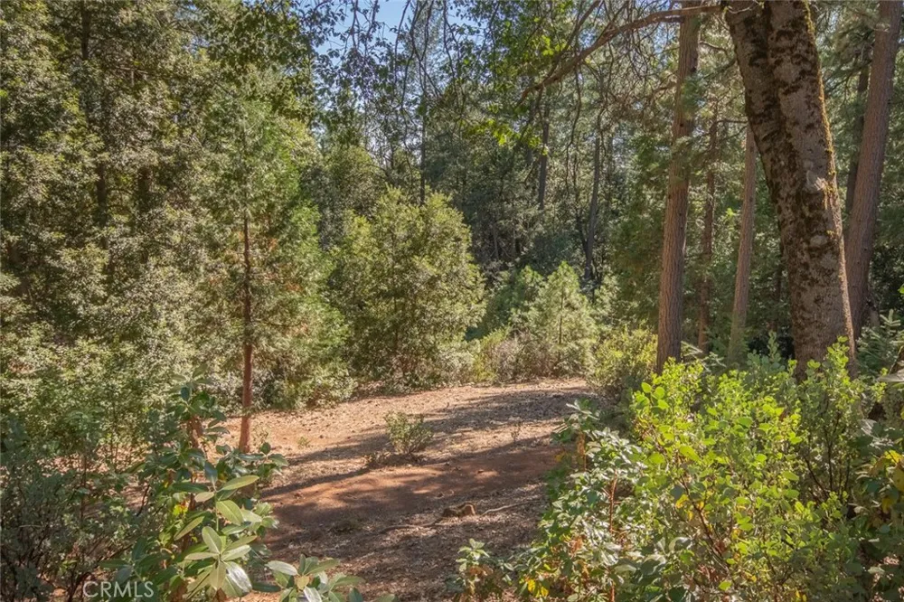 10647 Forbestown Road Challenge, CA 95925