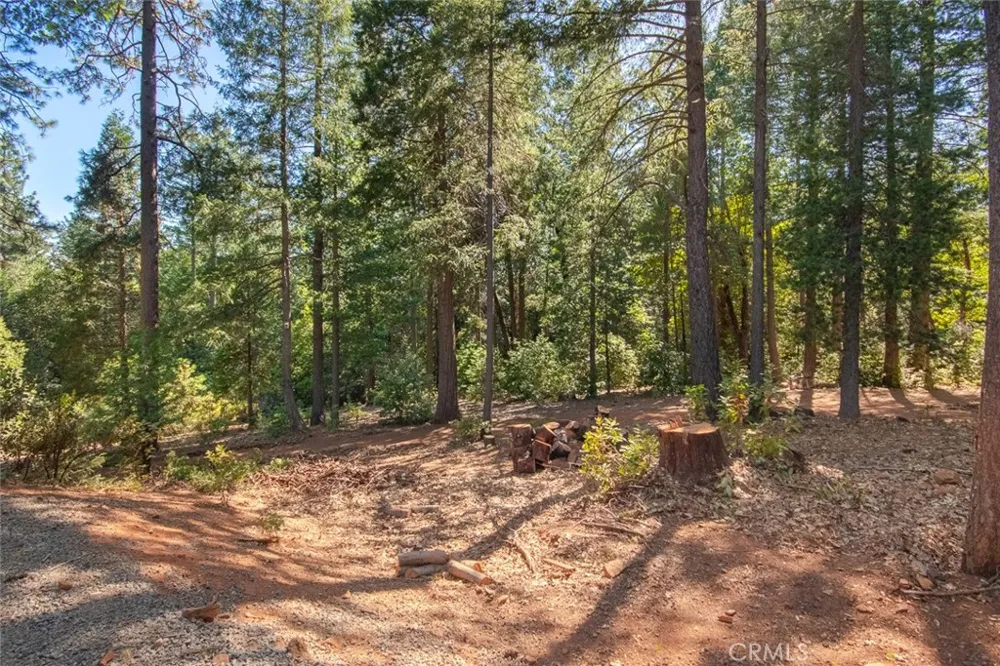 10647 Forbestown Road Challenge, CA 95925