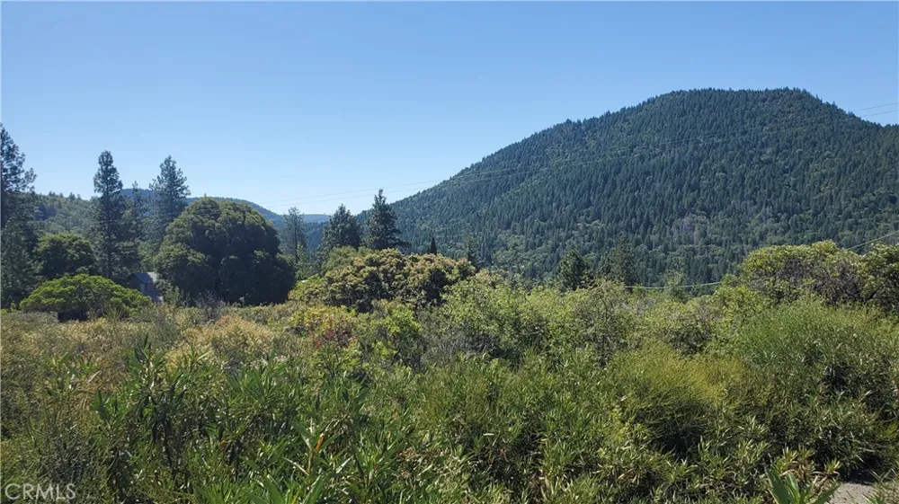 9176 Diamond Dust Kelseyville, CA 95451