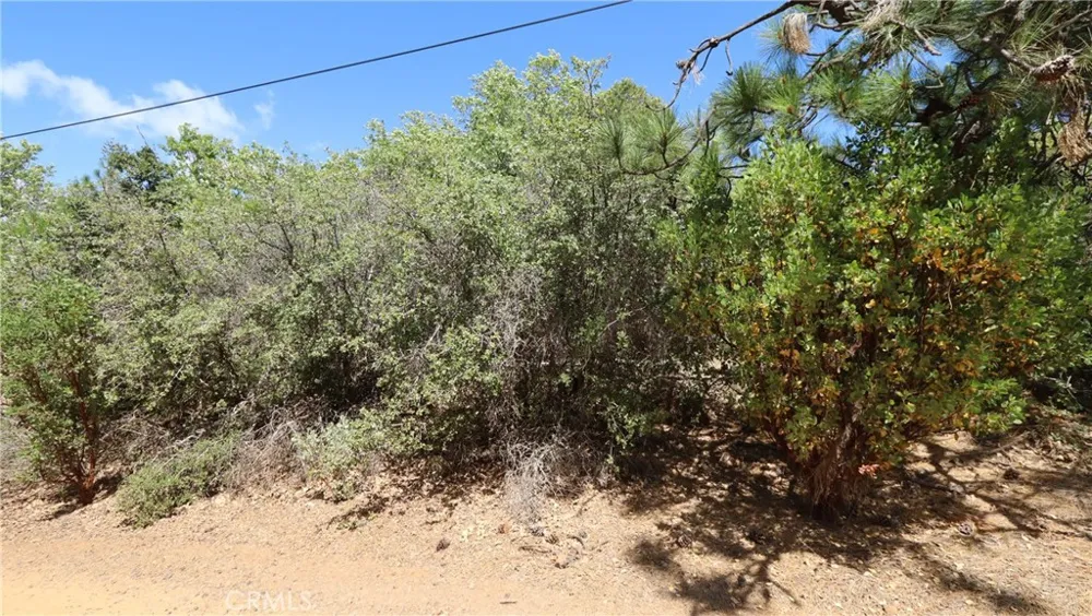9176 Diamond Dust Kelseyville, CA 95451