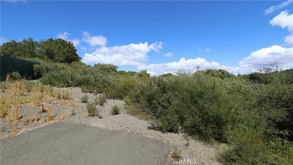 9176 Diamond Dust Kelseyville, CA 95451