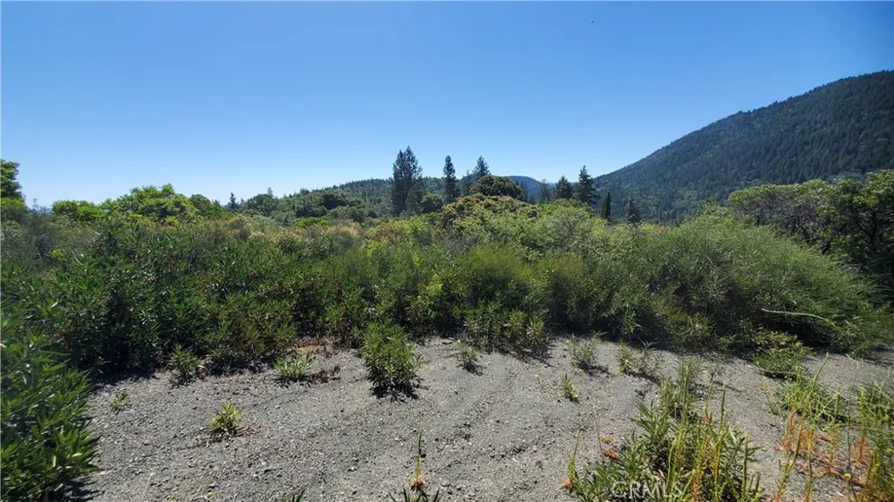 9176 Diamond Dust Kelseyville, CA 95451