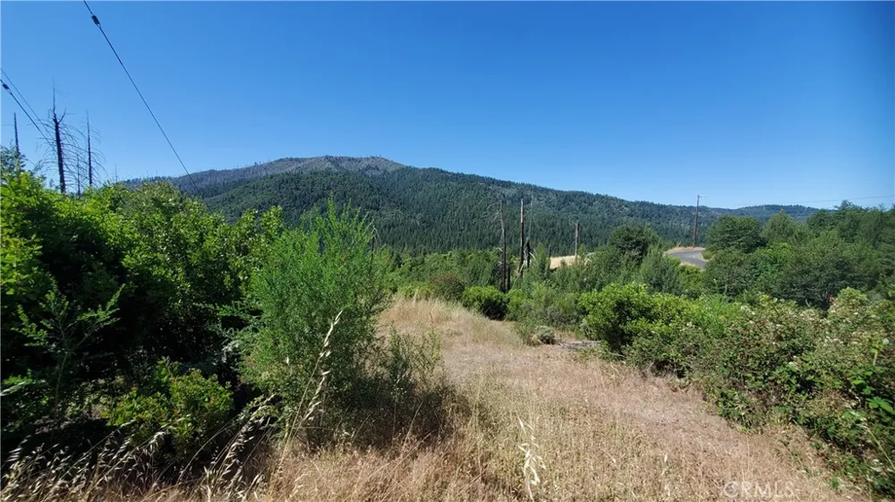9176 Diamond Dust Kelseyville, CA 95451