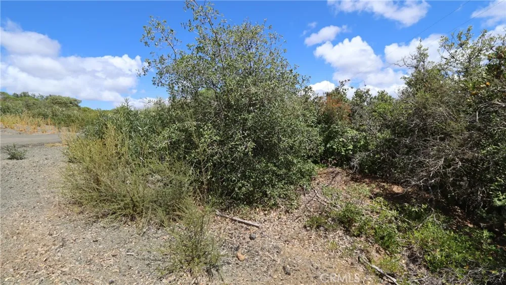 9176 Diamond Dust Kelseyville, CA 95451