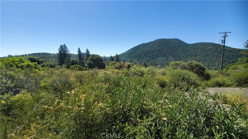 9176 Diamond Dust Kelseyville, CA 95451