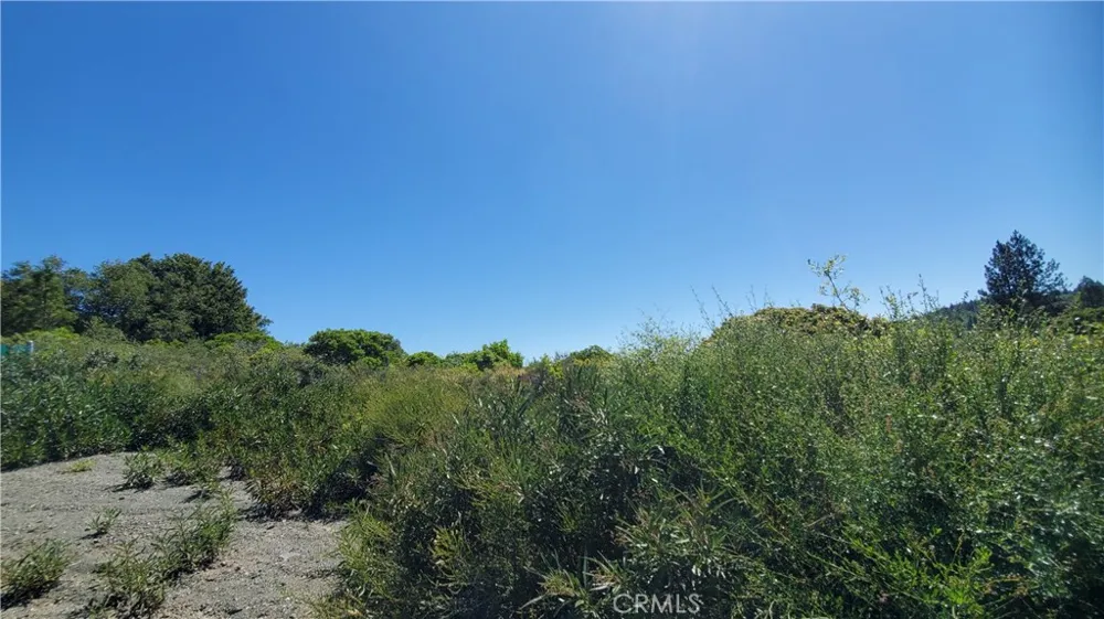 9176 Diamond Dust Kelseyville, CA 95451