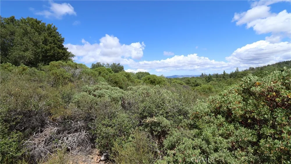 9176 Diamond Dust Kelseyville, CA 95451