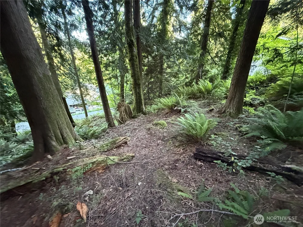 767 West Road Sedro Woolley, WA 98284