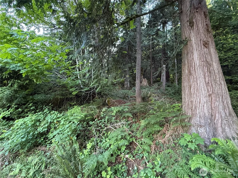 767 West Road Sedro Woolley, WA 98284