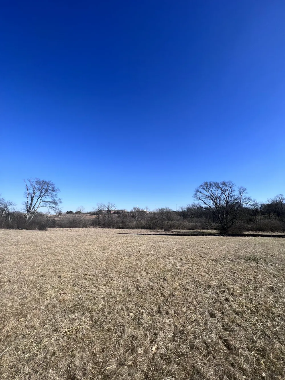 2760 Buckner Ln Thompsons Station, TN 37179