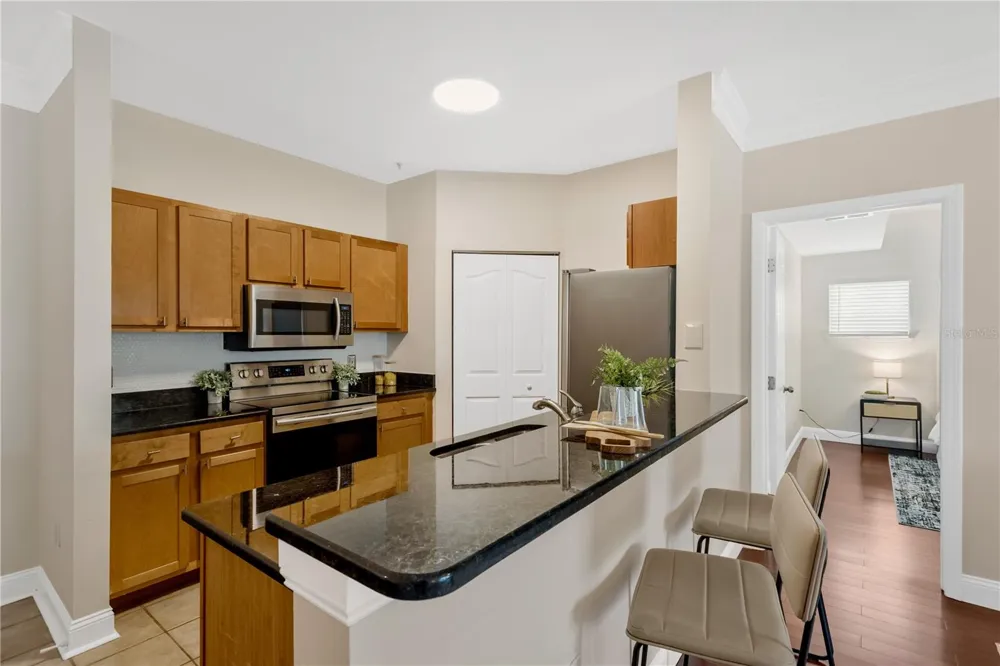 4207 S DALE MABRY HIGHWAY #2301 Tampa, FL 33611