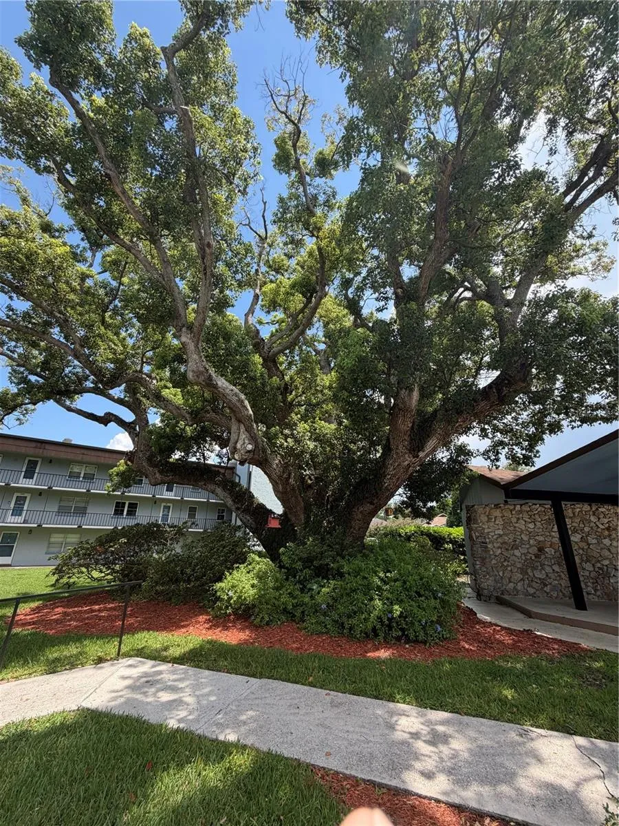 333 LAKE HOWARD DRIVE NW #211B Winter Haven, FL 33880