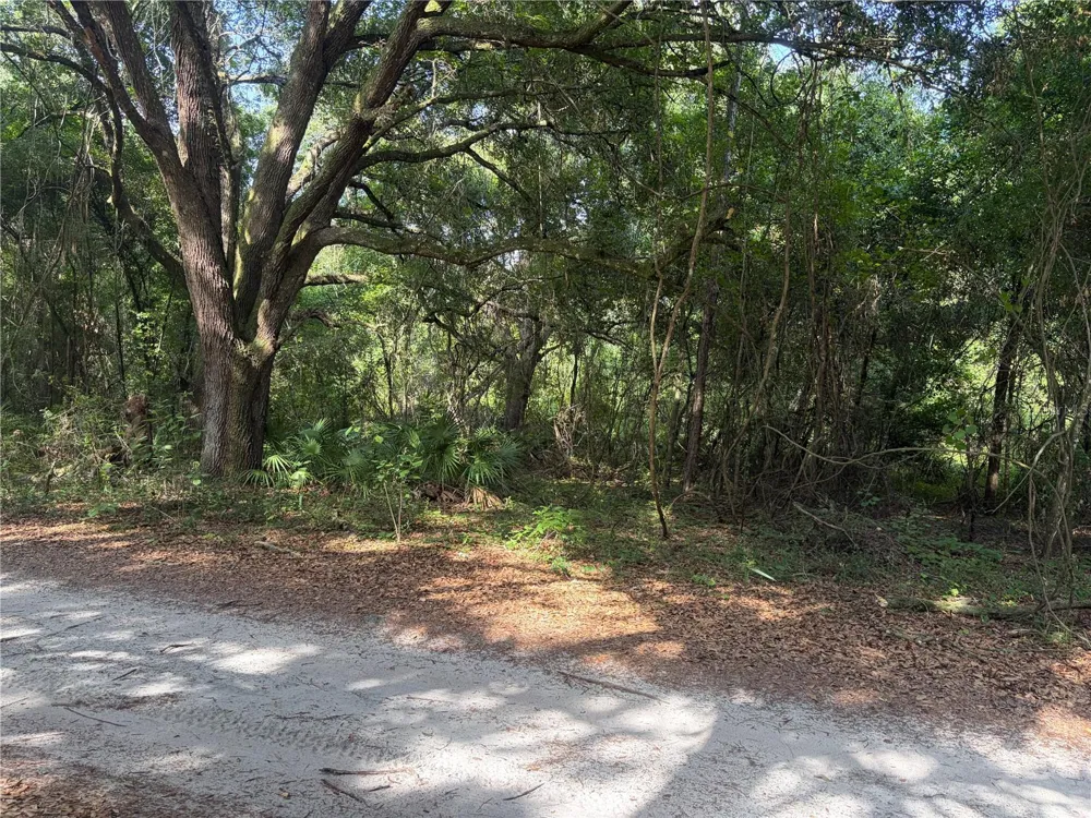 0000 CR 738 Webster, FL 33597