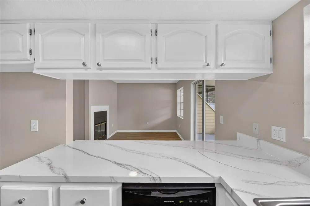 1214 BIG PINE DRIVE Valrico, FL 33596