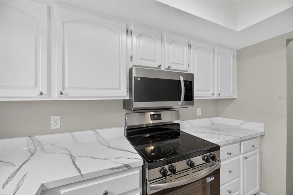 1214 BIG PINE DRIVE Valrico, FL 33596
