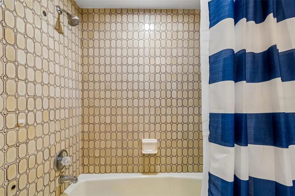 1563 MISTY PLATEAU TRAIL Clearwater, FL 33765