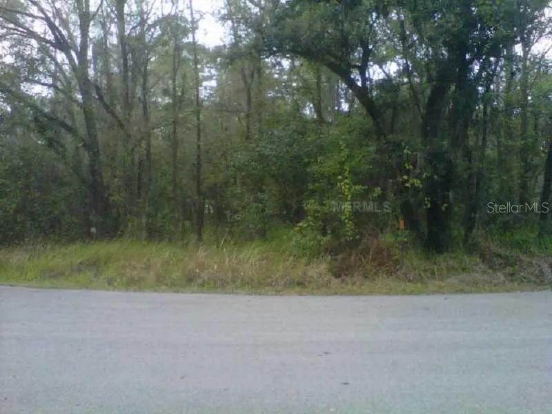 STATE PARK RD Lakeland, FL 33805