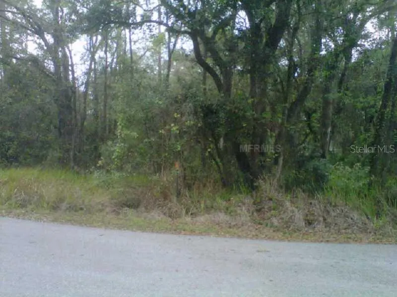 STATE PARK RD Lakeland, FL 33805