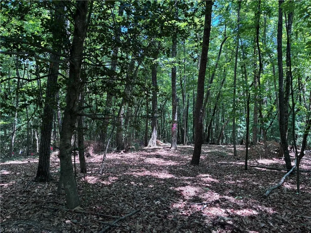 00 Breakaway Drive McGrady, NC 28649