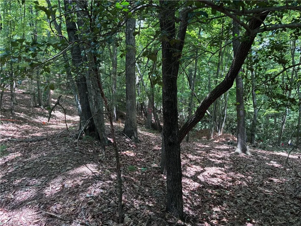 00 Breakaway Drive McGrady, NC 28649